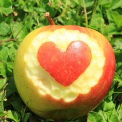 Apfel - Symbol der Liebe und Schönheit