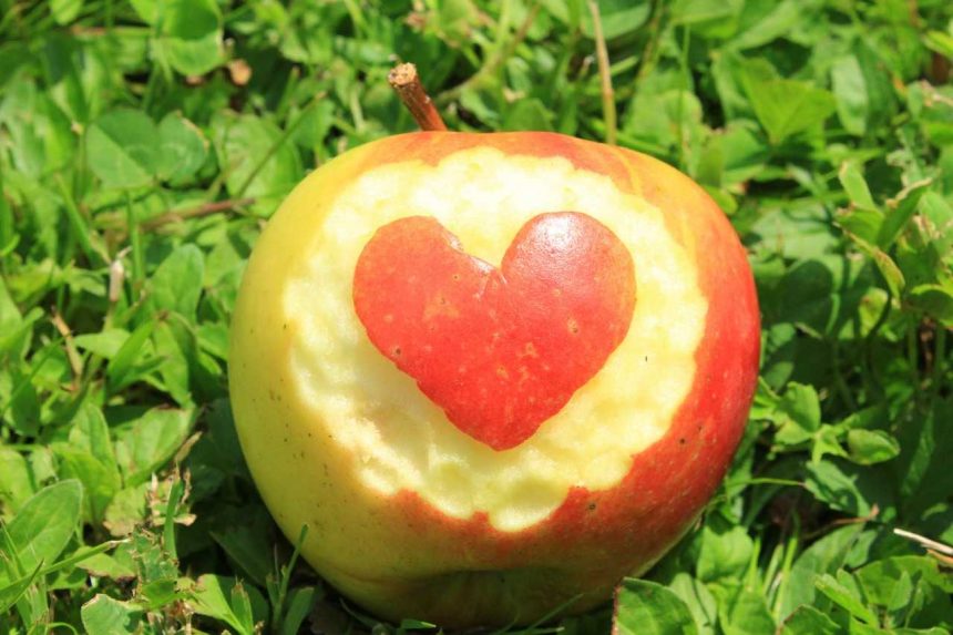 Apfel - Symbol der Liebe und Schönheit
