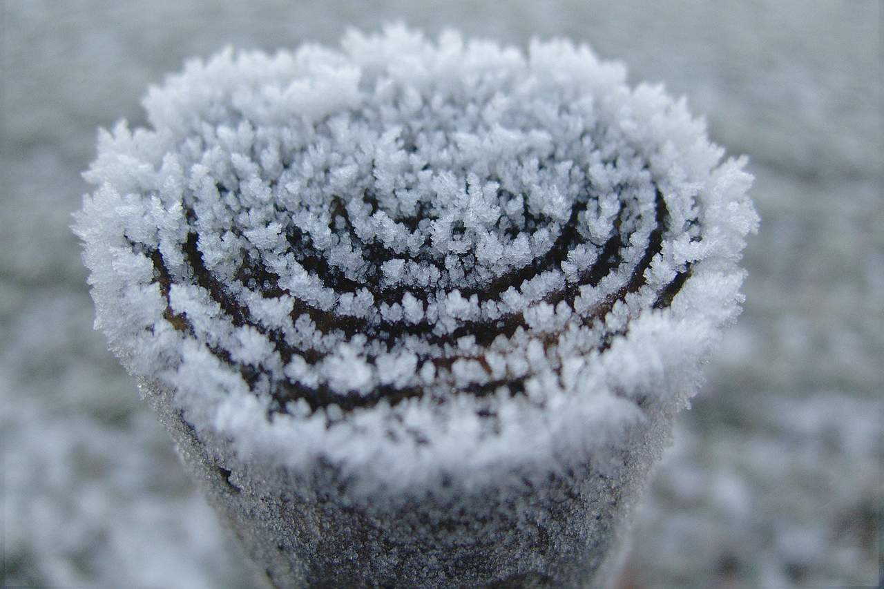 Hautpflege im Winter – Gesunde Haut trotz Kälte