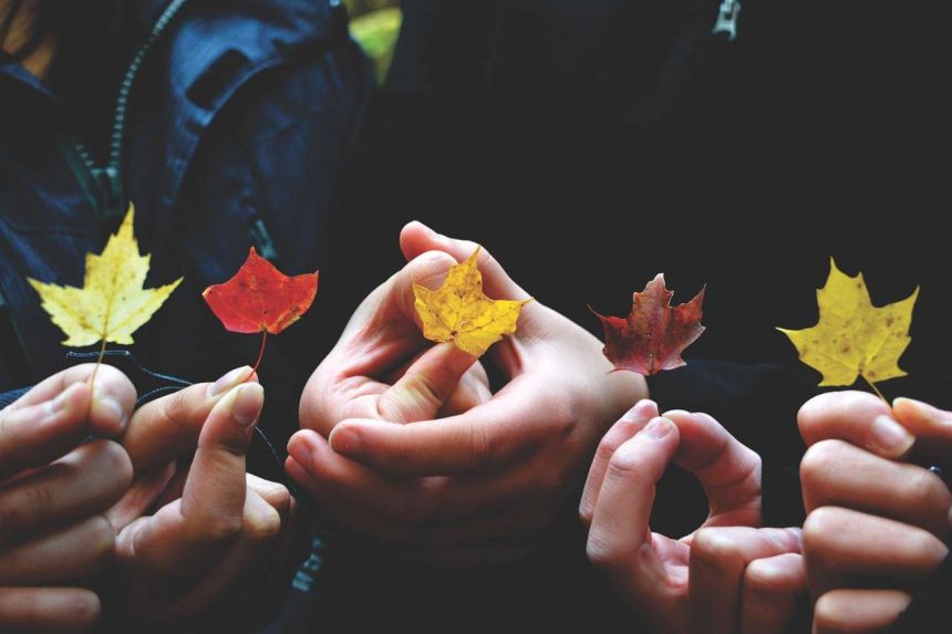 Herbst – die Pflege zwischen Hitze und Kälte